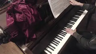 (HD) Lesson in Progress, Chopin B minor Waltz, Op. 69, No.  2 (Back tempo practicing)
