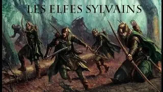 Warhammer [FR]: Lore : Les Elfes Sylvains !