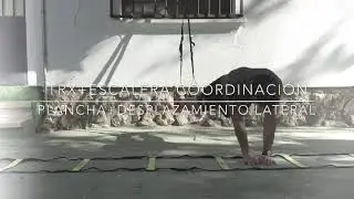 TRX + ESCALERA DE COORDINACIÓN