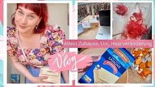 Haare ab, Alltag, Uni und eine Woche alleine Zuhause // DaisyAndYou