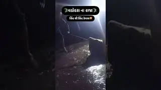 Vadodara na raja magar 🐊👑.                          #vadodara #vishwamitririver #crocodile