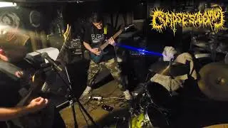 Corpse Sodomy - Disarticulated Female Cadaver (Rehearsal)