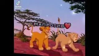 for: Zira my love
