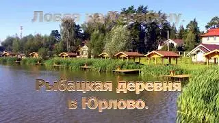 Ловля на Херабуну.  Рыбацкая Деревня в Юрлово.