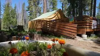 Experiencing the Awe of Nature