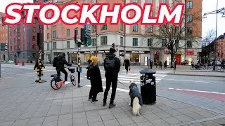 🇸🇪 Stockholm Mega Walk - Green Metro Line ALL stations -  [Odenplan to Fridhemsplan] Part 7 (#637)