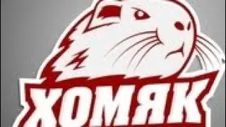 как кормить хомяка🐹