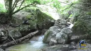 Alla ricerca dell'Eremo di San Michele