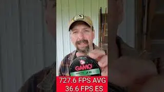 Survival Air Rifle Velocity Test. #shorts