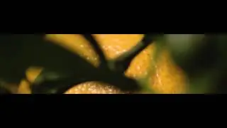 DEL TROS AL PLAT: HORTA, SECÀ, MAR I MUNTANYA.