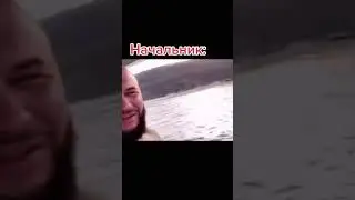 Петушки