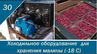 Холодильное оборудование для хранения малины (-18 С) на длительный срок