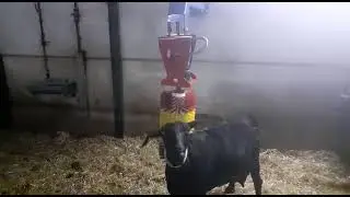 Cepillo anti estres CULMATIC