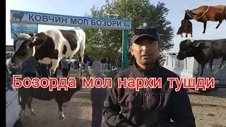 Ковчун мол бозори нархлари