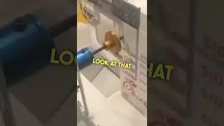 I Can’t BELIEVE This Happened! 🐓