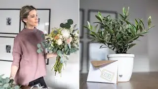 DIY FLORAL IDEAS FOR VALENTINE'S DAY //  POTTED OLIVE & CUTE GIFT IDEAS