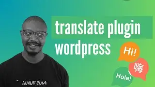 How to Translate Plugin on WordPress (Using POT File)