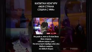 Не знаю я, моя ли в том вина Моя страна, совсем сошла с ума 
