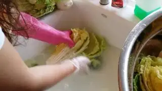 Making Kimchi part 1: Salting the cabbage