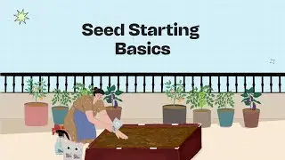 Learn seed starting basics with us