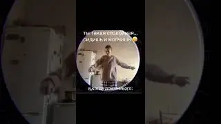 21 мая 2024 г.