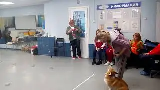 Баринова Анастасия, Василёк