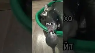 Хауди Хо и хейтеры 