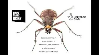 Species recovery in open habitats