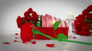 Valentine Greeting Video Animation