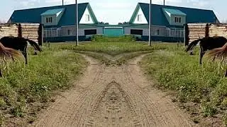 В деревне с дедушкой