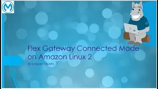 Anypoint Flex Gateway Part III - Deploy on Amazon Linux 2(Connected Mode) and secure Spring Boot API