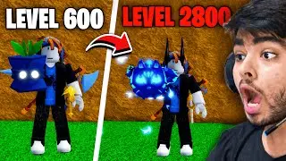 Noob To Max But Every 100 Levels I Have To Roll A Fruit Blox Fruits #7