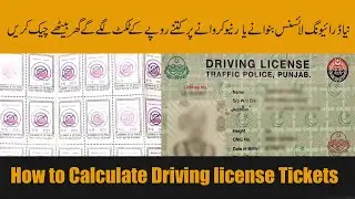 How to Calculate Driving license Tickets - Driving License Ticket Calculator