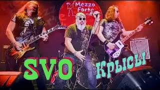 SVO - КРЫСЫ  (Live clip)