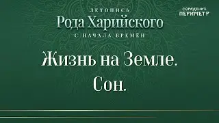 Жизнь на Земле. Сон 