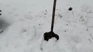 Предвесенние заботы на пасеке.