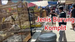 Pasar Burung Gawo Ramai Banyak Plihan ada burung kenari cendet ciblek dan burung lolohan