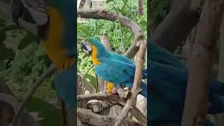 Дубай сафари парк @dubaisafari