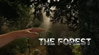 Знакомимся с островом(The Forest)