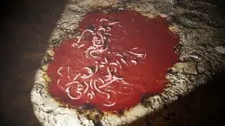 SCP Footage 2023: Bloody Earthworm - Blender Short
