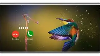Notification Ringtone | Best message tone | Sms tone | sms Ringtone 2020360p