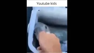 Youtube Kids