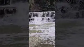 the Earth's machine