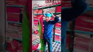 rajasthani gol safa bandhai traditional rajasthani lahriya turban type  Mahendra goyal paghdi safa