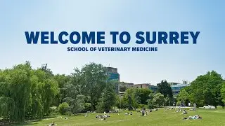 A welcome message from the Head of School for Veterinary Medicine