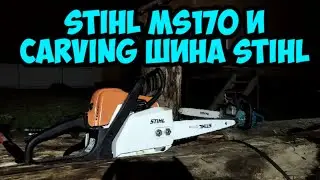 Stihl ms170 и Carving шина Stihl