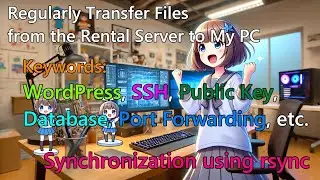 How to Back Up on a Rental Server Without Additional Fees