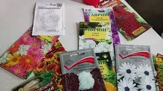 Обзор рассады томатов перцев и земляники Посадка семян цветов