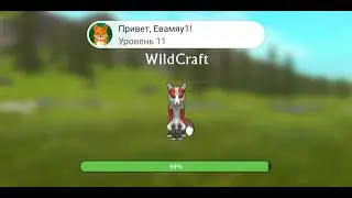 wildcraft обмен.