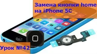 Замена кнопки home на iPhone 5C,  разборка, как своими руками заменить кнопку хоме на айфоне 5С